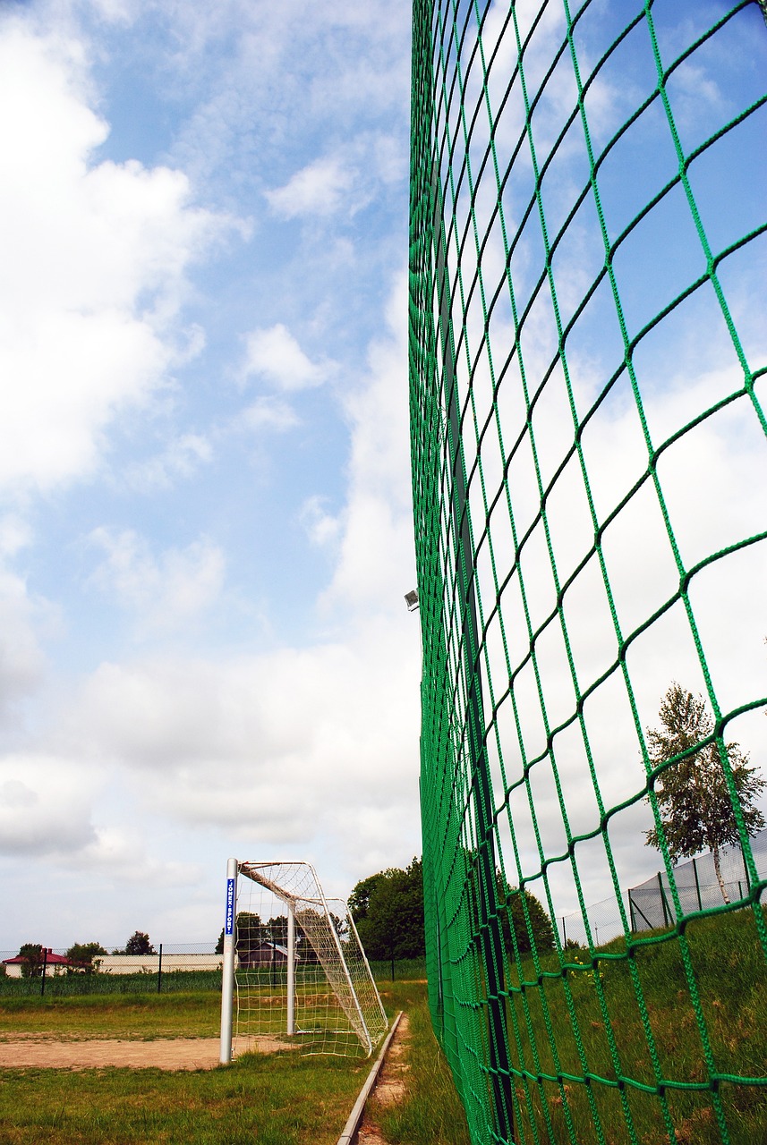 但乌拉圭队 但乌拉圭队