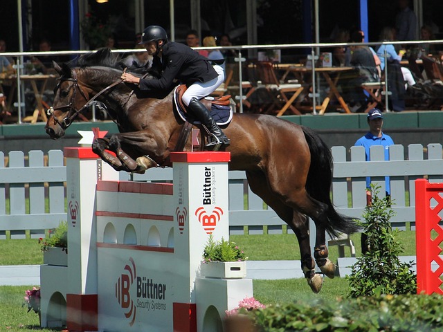 案例对比 案例对比