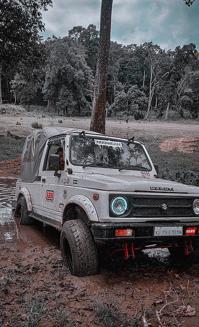 拜仁球迷和 拜仁球迷和