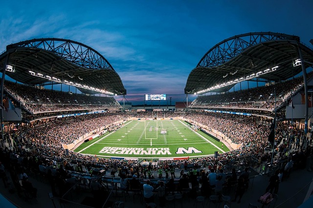 新手来说 新手来说